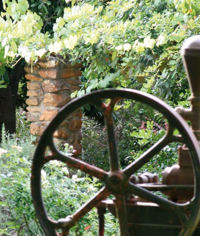 Mooiplaas Wine Estate Lägenhet Stellenbosch Exteriör bild