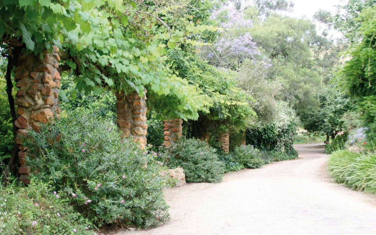 Mooiplaas Wine Estate Lägenhet Stellenbosch Exteriör bild