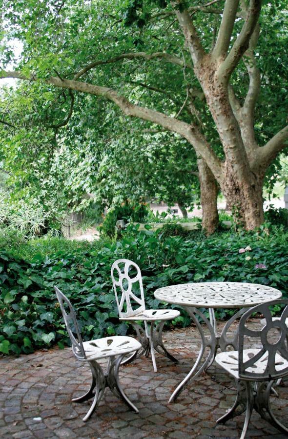 Mooiplaas Wine Estate Lägenhet Stellenbosch Exteriör bild