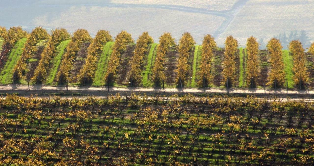 Mooiplaas Wine Estate Lägenhet Stellenbosch Exteriör bild