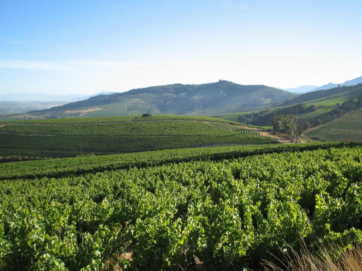 Mooiplaas Wine Estate Lägenhet Stellenbosch Exteriör bild