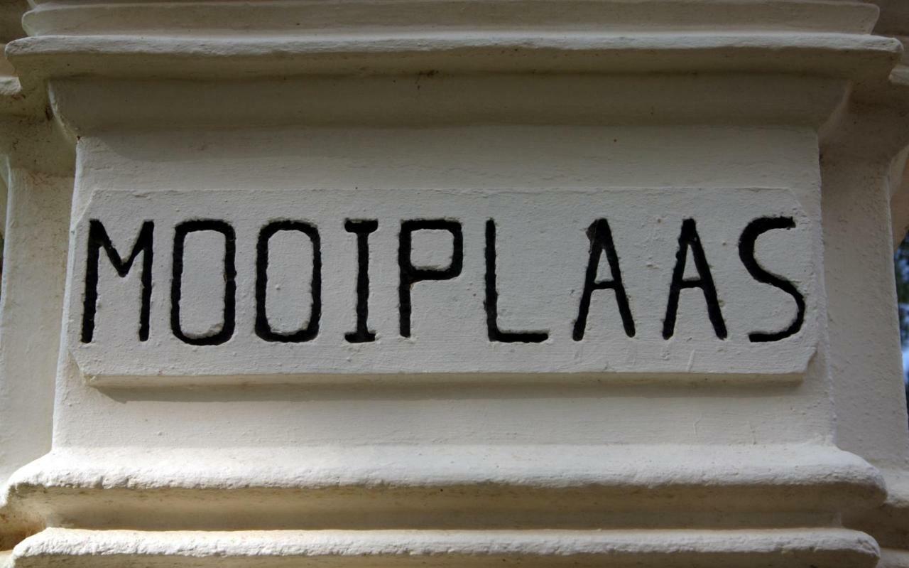 Mooiplaas Wine Estate Lägenhet Stellenbosch Exteriör bild