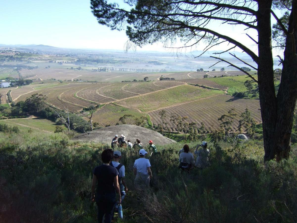 Mooiplaas Wine Estate Lägenhet Stellenbosch Exteriör bild