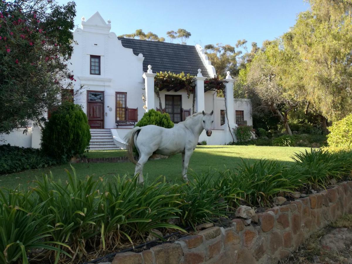Mooiplaas Wine Estate Lägenhet Stellenbosch Exteriör bild