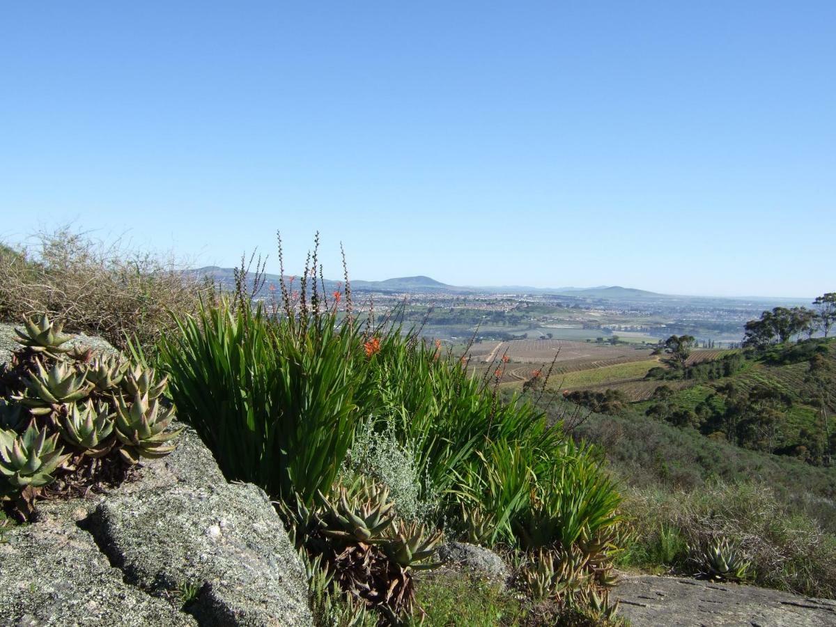 Mooiplaas Wine Estate Lägenhet Stellenbosch Exteriör bild